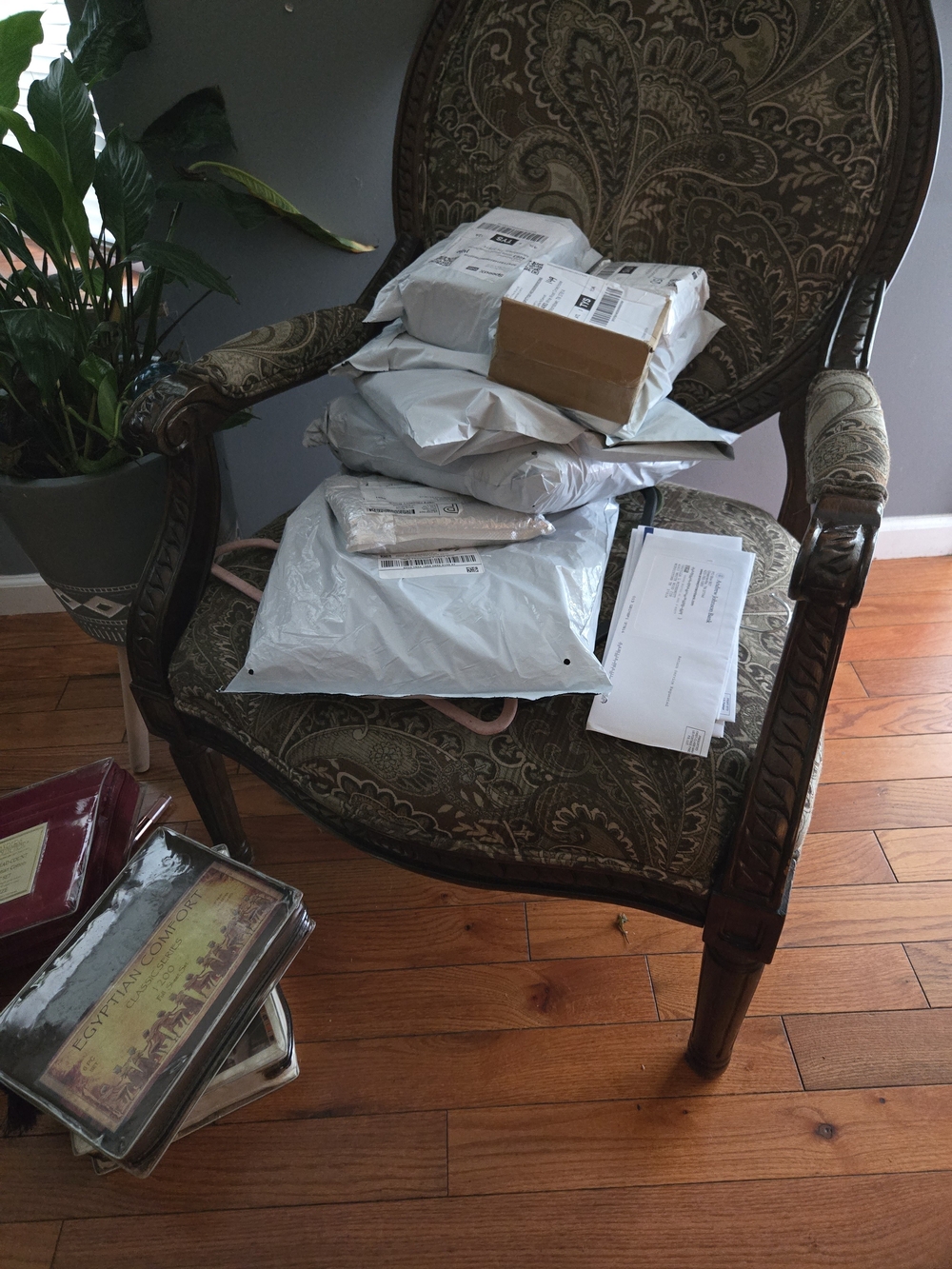 GIVEY FREE SHIPPING AND GIFT.